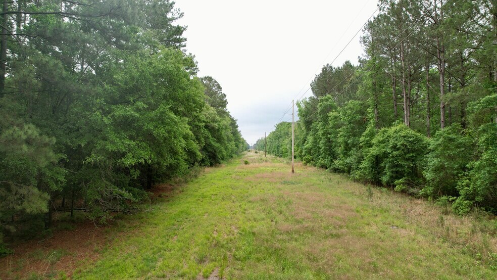 More Photos Of , Reevesville Land For Sale