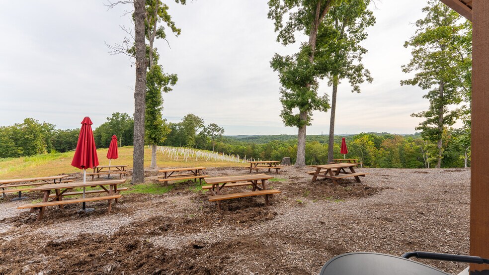 More Photos Of 100 Grand Vintners Lane, Lake Ozark Winery Vineyard For Sale