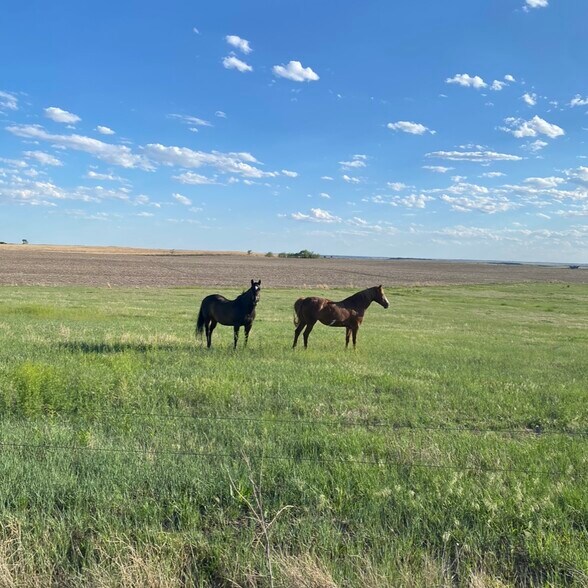 More Photos Of 73881 Avenue 357, Hayes Center Land For Sale