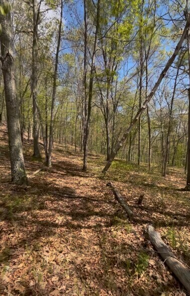 More Photos Of 17 McKay st, Norwich Land For Sale