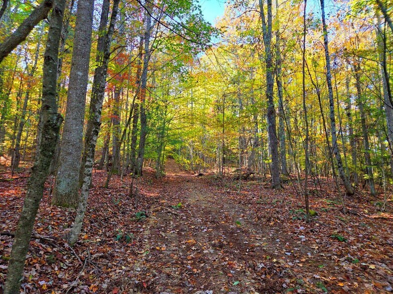 More Photos Of 0 Old Pluto Rd, Shady Spring Land For Sale