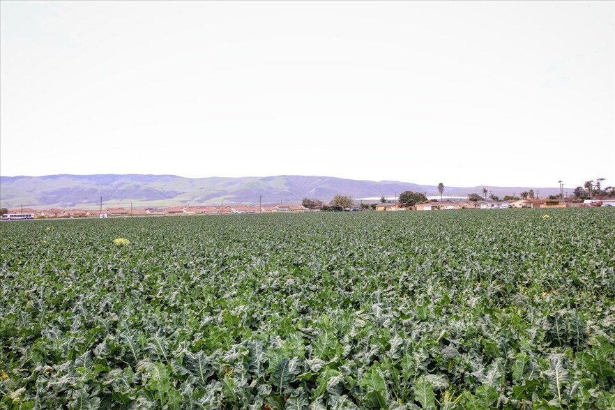 More Photos Of Flower Ave @ Highway 166, Guadalupe Land For Sale