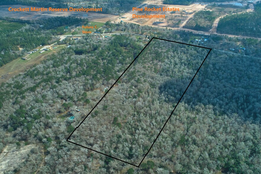 Primary Photo Of TBD Crockett Martin, Conroe Land For Sale