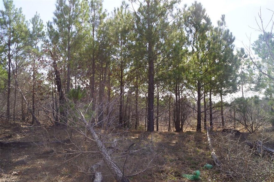 More Photos Of 488 Kelley Rd, Bastrop Land For Sale