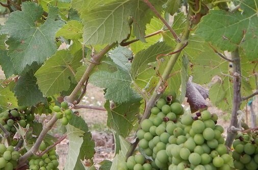 More Photos Of 707 Hess Ln, Roseburg Warehouse For Lease