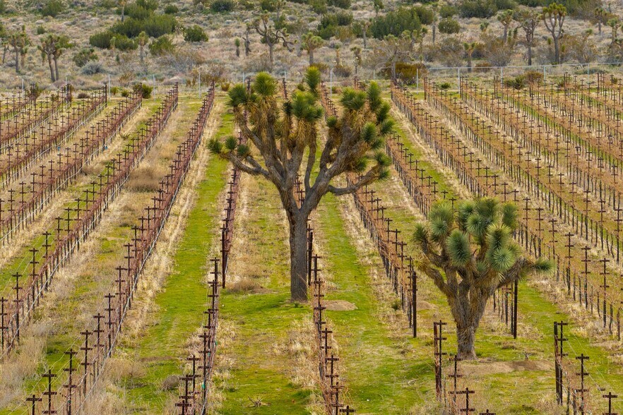 More Photos Of Fort Tejon Rd, Littlerock Land For Sale