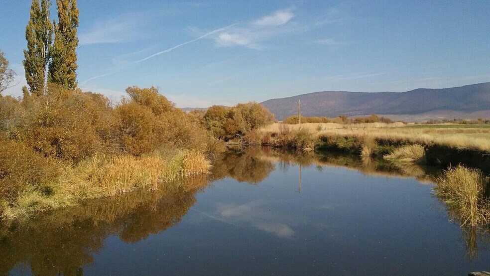 More Photos Of 295 Co Rd 149, Lookout Land For Sale