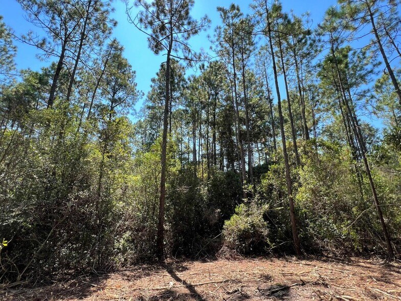 More Photos Of TBD Juniper Lake Road, Defuniak Springs Land For Sale