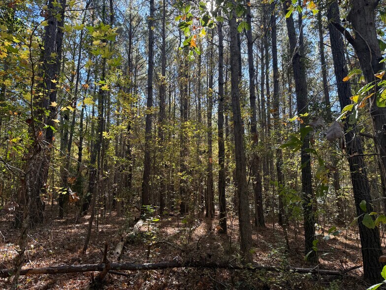 More Photos Of 793 Puncheon Creek Dr, Andrews Land For Sale