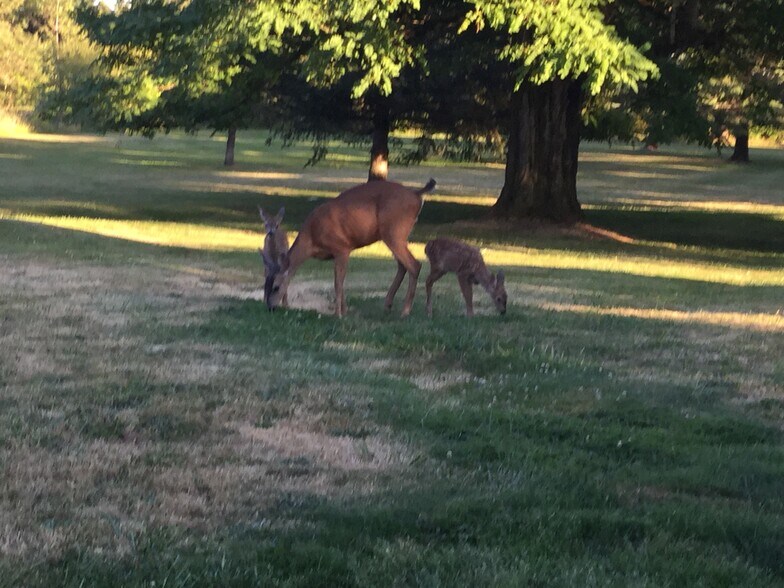 More Photos Of 945 NE 43rd Ave, Camas Land For Sale