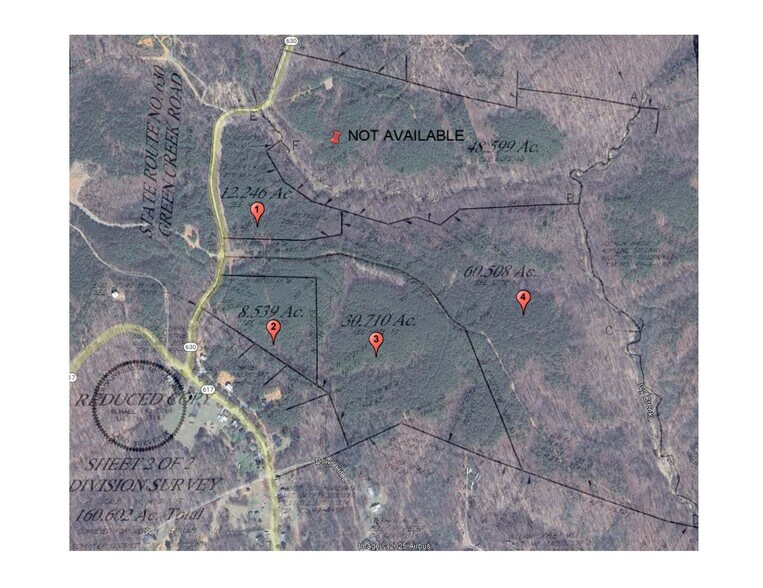 More Photos Of tbd Green Creek Rd, Schuyler Land For Sale