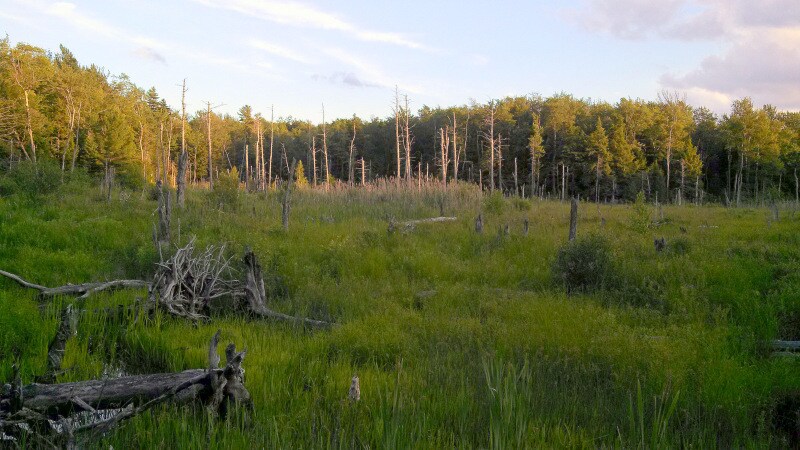 More Photos Of 885 Washington Mountain Rd, Washington Hotel For Sale