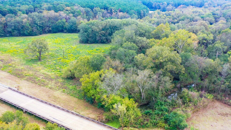 More Photos Of 5015 FM 561, Simms Land For Sale