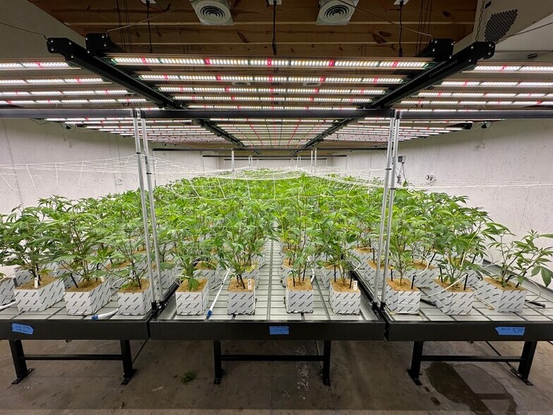 More Photos Of 80 Allegiance ln, Waynesville Warehouse For Lease