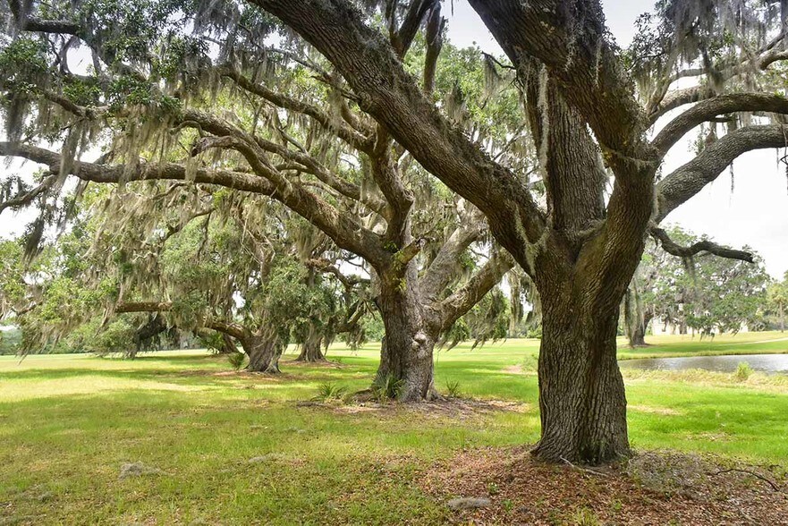 2328 Laurel Hill Rd, Edisto Island, SC 29438 Land For Sale