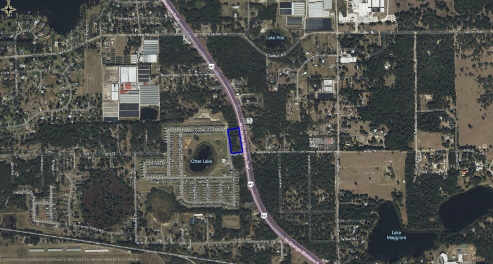 Primary Photo Of N Orange Blossom Trl, Mount Dora Land For Sale