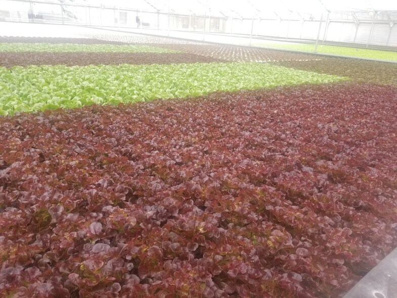 More Photos Of 4525 Cloverdale Rd, Pescadero Land For Sale