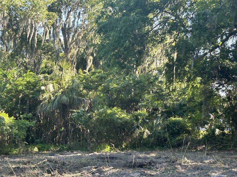 More Photos Of 227 S US Highway 17, East Palatka Land For Sale