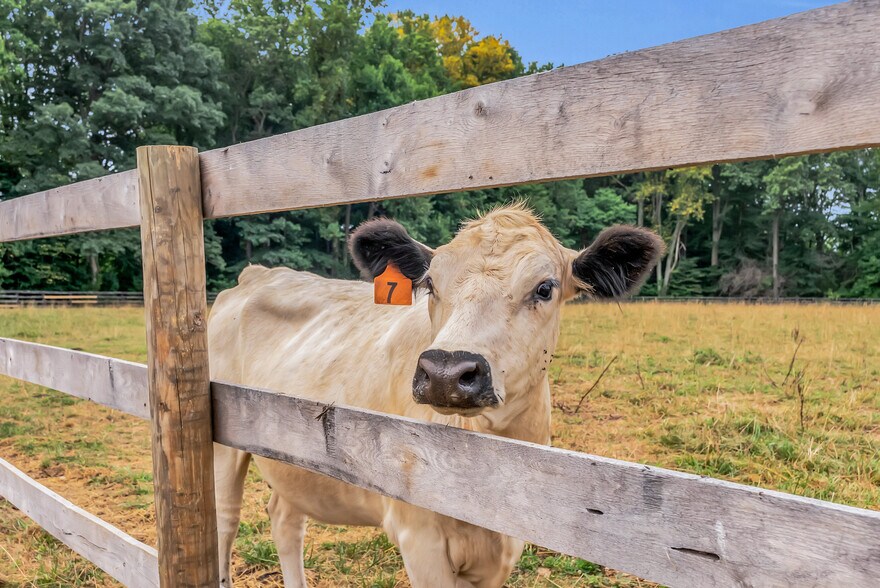 More Photos Of 208 Acres Preserved Farmland Rd, Cream Ridge Land For Sale