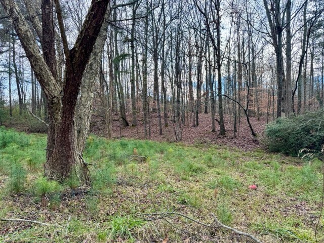 More Photos Of 1300 Peachtree Pky, Cumming Land For Sale