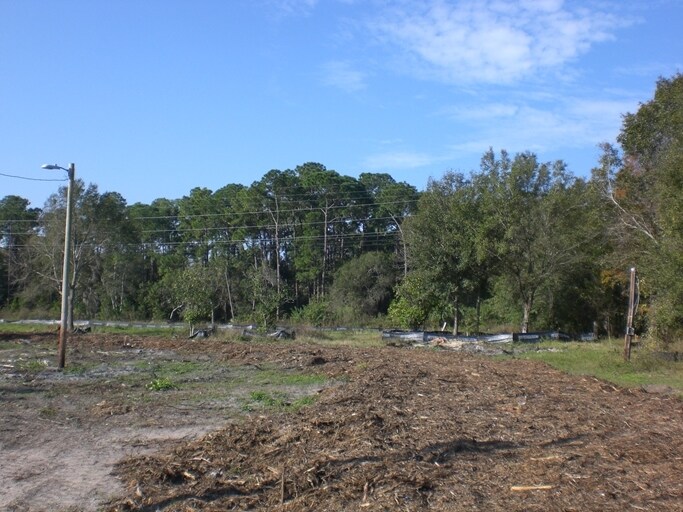 More Photos Of 0 Antilla St, Tampa Land For Sale