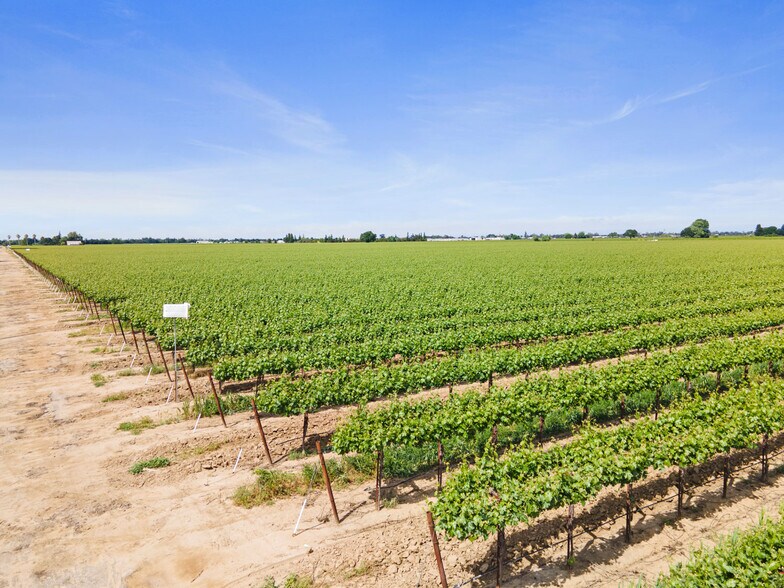 More Photos Of 3463 Peltier Rd., Acampo Land For Sale