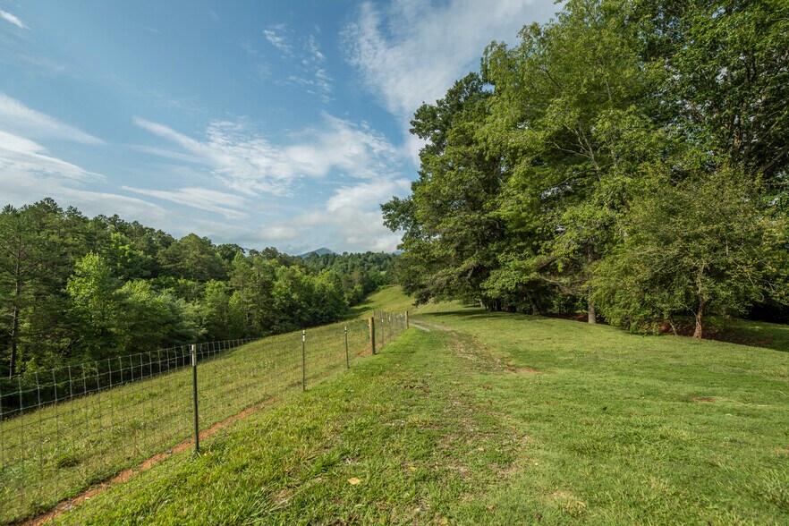 More Photos Of 305 Sluder Branch Rd, Leicester Land For Sale