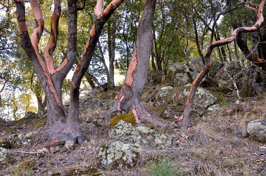 More Photos Of 128 Ridgecrest Road, Kentfield Land For Sale