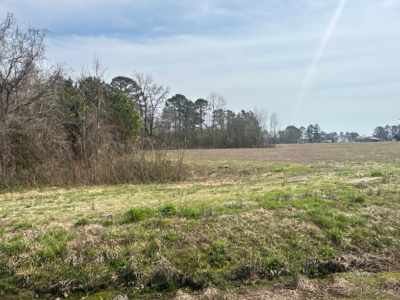 More Photos Of 260 Bragaw Ln, Chocowinity Land For Sale