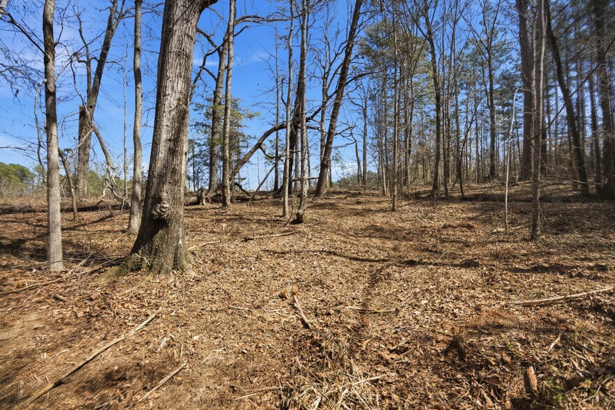 More Photos Of 317 S Highway 11, West Union Land For Sale