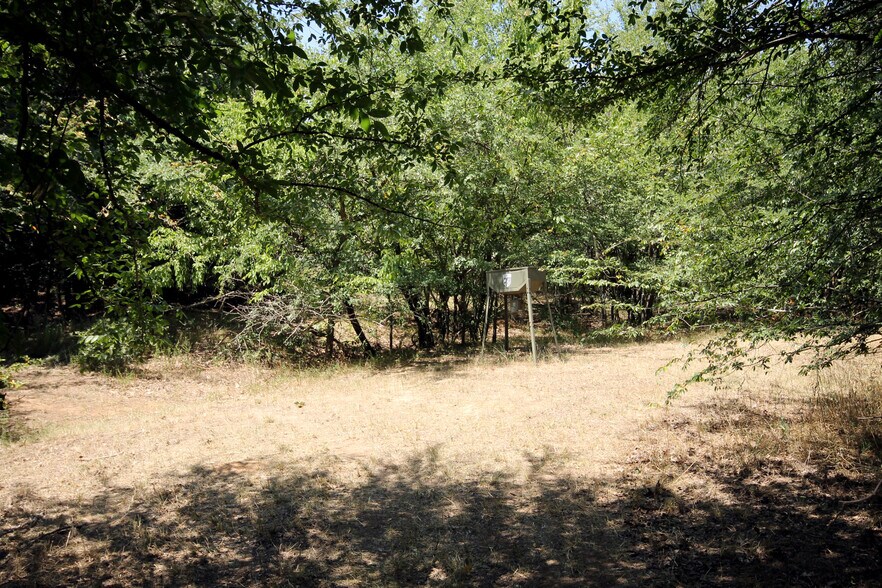 More Photos Of 13305 Joe Allen Rd, Pilot Point Land For Sale