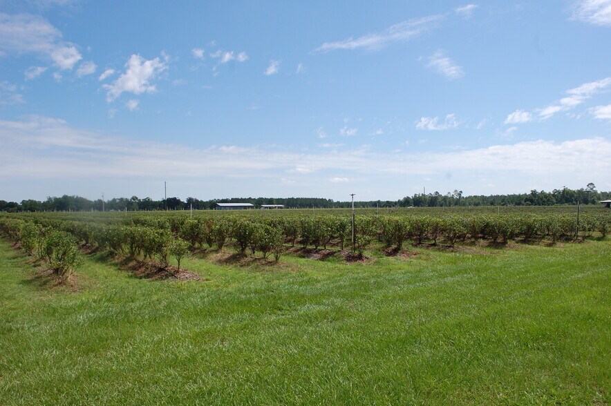 More Photos Of 18811 SE 243rd St, Hawthorne Specialty For Sale