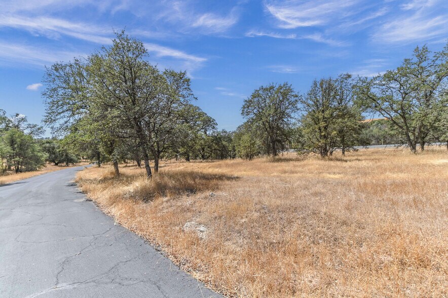 More Photos Of 5761 Highway 4, Angels Camp Land For Sale