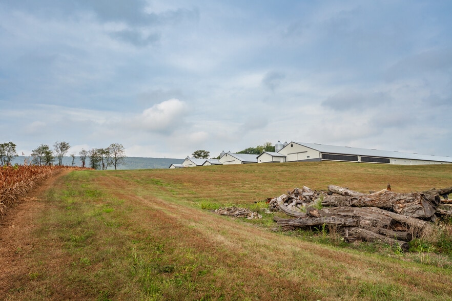 More Photos Of 7573 Springhouse Rd, New Tripoli Land For Sale