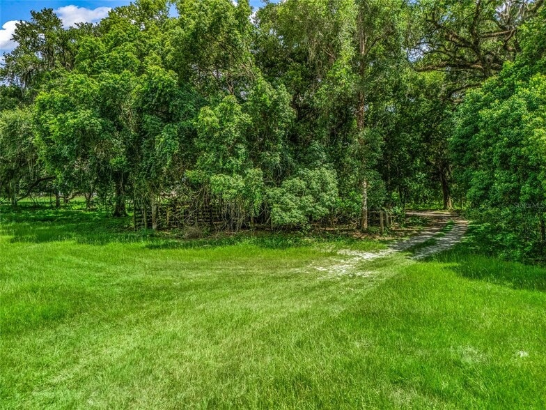 More Photos Of CR 738, Webster Land For Sale