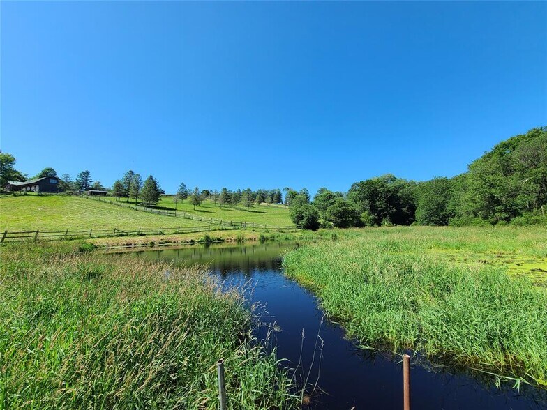 More Photos Of 282 Shore Rd, Swan Lake Land For Sale