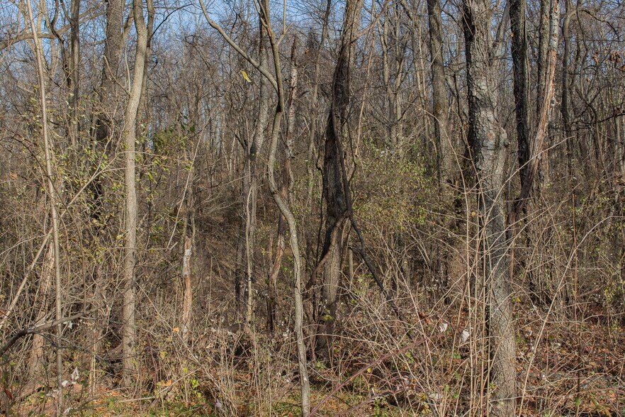 More Photos Of Remainder T.M Opequon Connector rd, Kearneysville Land For Sale