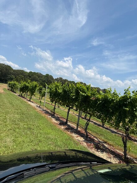 More Photos Of 221 N Delsea Dr, Cape May Court House Winery Vineyard For Sale