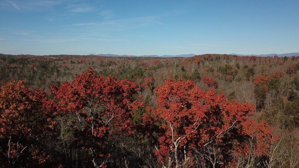 More Photos Of 536 Vayhaus Trl, Ellijay Specialty For Sale