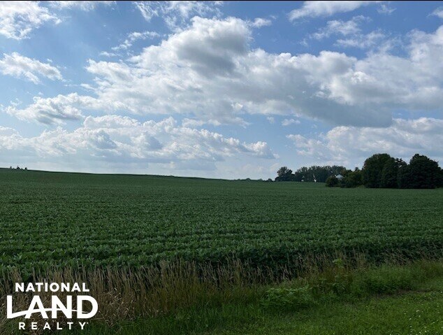 More Photos Of 820 Johnson Ave SW, Cokato Land For Sale