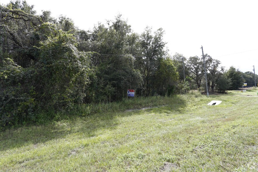 More Photos Of 17108 Cortez Blvd, Brooksville Land For Sale
