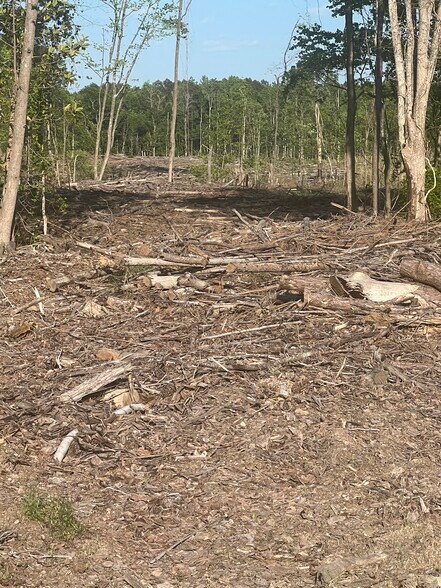 More Photos Of 2460 Tanner Rd, Rocky Mount Land For Sale