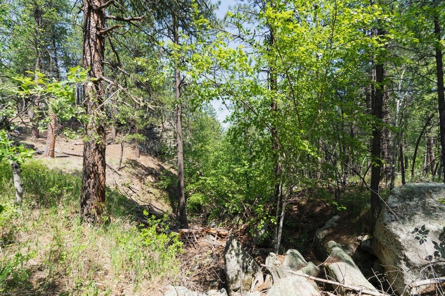 More Photos Of 1201A Old Hill City Rd, Keystone Land For Sale