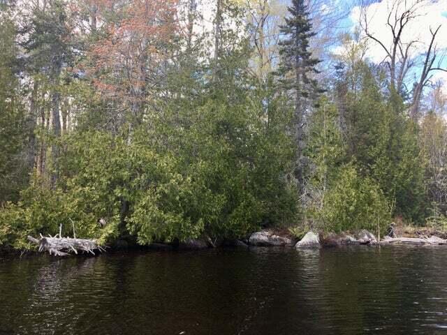 More Photos Of 00 Keefe Way, Ellsworth Land For Sale