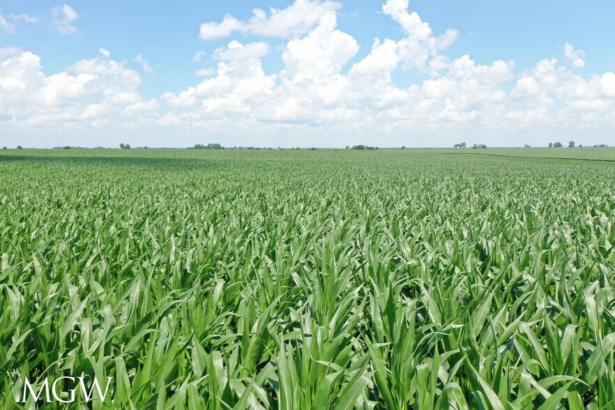 More Photos Of Illinois 17, Toluca Land For Sale