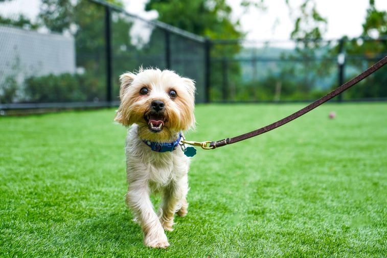 More Photos Of 9 Presidential Blvd, Bala Cynwyd Apartments For Lease