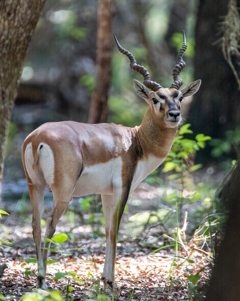 More Photos Of 134 Shoreside Trail, Crescent City Land For Sale