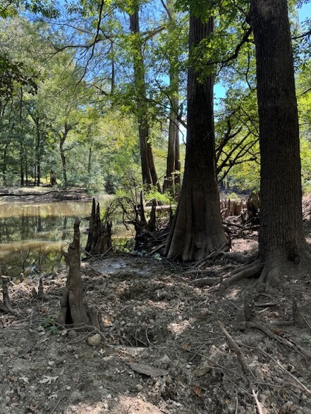 More Photos Of Dynamic Webster Parish, Sarepta Land For Sale