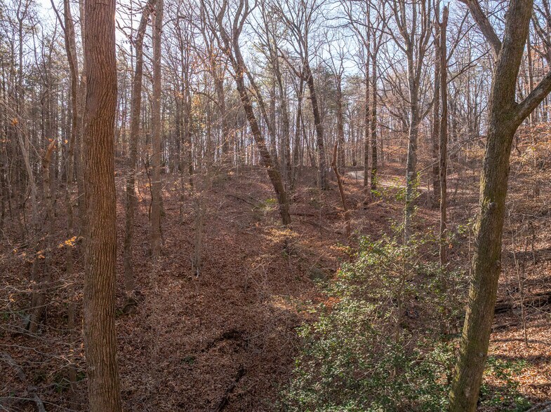 More Photos Of 00 Pittman Rd, Landrum Land For Sale