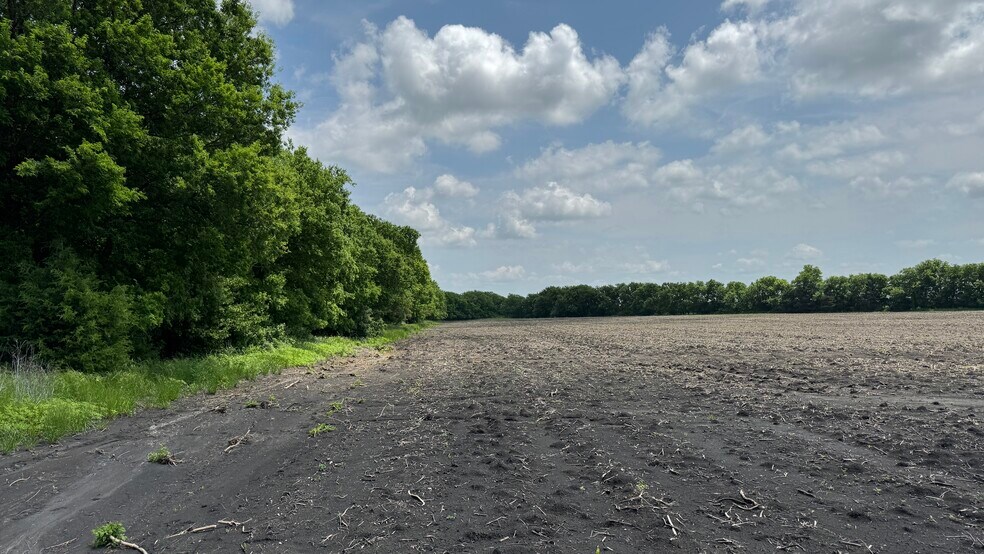 More Photos Of 9024 FM 64, Pecan Gap Land For Sale